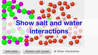 Essential Chemistry  Dissolving Salt in Water [upl. by Maximilien]