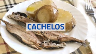 ♨️ CACHELOS 🥔 con XURELOS 🐟 [upl. by Adnopoz]