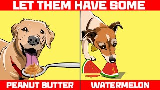 Human Foods that Are Actually Good for Dogs [upl. by Anaujait]