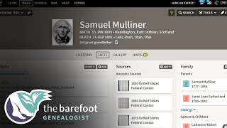 Ancestry Online Trees Using Web Links  Ancestry [upl. by Anaira556]