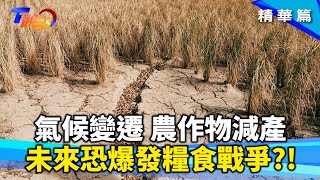 颱風菜價飆 日本鬧米荒 氣候變遷糧食減產 未來恐爆發糧食戰爭？手搖飲王國 面臨茶葉減產危機！ 嘉大改良耐旱米 不只省水還減碳  T觀點 20241109 13 [upl. by Illyes]