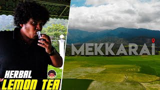 Trip to Mekkarai  Travel Vlog  Irfans View [upl. by Enoid981]