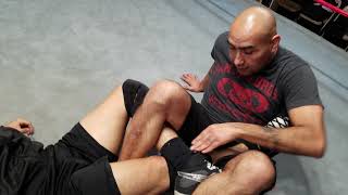 How to do the figure 4 leg lock [upl. by Asiulairam]