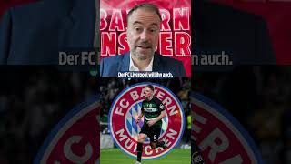 Der FC Bayern hat 4 Stürmer auf der Liste  shorts [upl. by Eetnahs]