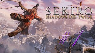 Sekiro is Easy [upl. by Nocam71]