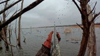 RESERVOIR MALLARDS Limited Out Public Land Duck Hunting [upl. by Minni]