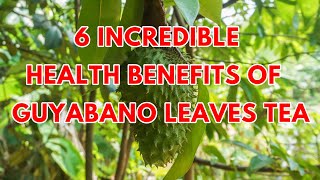 6 HEALTH BENEFITS OF GUYABANO LEAVES TEA  SideEffects  How To Make It [upl. by Odlonyer]