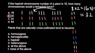 Haploid diploid triploid and tetraploid plants [upl. by Mellie]