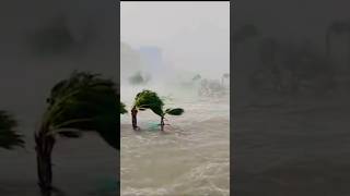 Here is what a 15 foot hurricane storm surge looks like hurricane milton breakingnews update [upl. by Swithbart560]