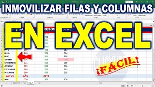 Cómo Inmovilizar FILAS y COLUMNAS en Excel Fijar celdas [upl. by Baily]