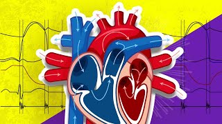 The Cardiac Cycle is SO EASY Stop Making it Hard [upl. by Madlin]