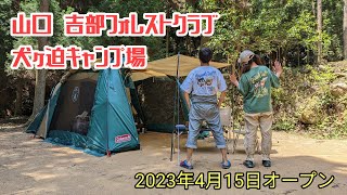 山口 吉部フォレストクラブ 犬ヶ迫キャンプ場⛺ [upl. by Ahseinad]