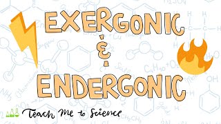 endergonic and exergonic reactions [upl. by Bevon]