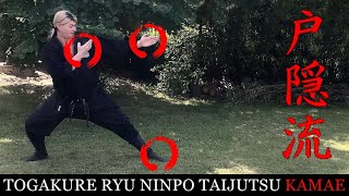 TOGAKURE RYU NINPO TAIJUTSU 🥷🏻 Ninja Fighting Stances Kamae Ninjutsu Training [upl. by Der]