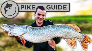 A Beginners Guide To Pike Fishing  Tactics Bait Lures Rigs and Unhooking [upl. by Revkah]