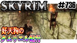 【SKYRIM】好天狗のタムリエル紀行 オーリエンと秘密の部屋【7326】 [upl. by Cappella]