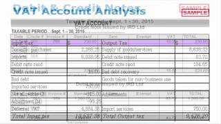 How to Account for VAT [upl. by Yttik]