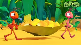 Magnifried 60 Minutes of Antiks by Oddbods  Kids Cartoons  Party Playtime [upl. by Athalla]