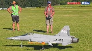 RC turbine NORTHROP F20 TIGERSHARK jet SOLO Display [upl. by Telfer306]