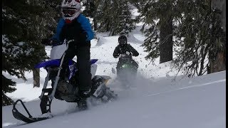 110cc Bikes in the Snow  Timbersled [upl. by Ermin911]