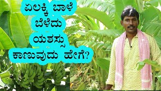 Yelakki Banana Farming Planting amp Care  Vijay Karnataka [upl. by Nylde]