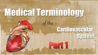 Introduction to the Cardiovascular System Full Video Part 1 And 2 [upl. by Lothario616]