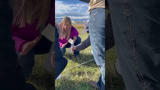 Explore Sheridan College Wyoming [upl. by Lipsey]