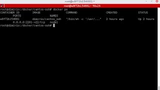 Lab 38 Docker Tutorial  Setup SSH Server on Docker Container [upl. by Senalda]