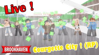 Live Roblox Brook Haven  Courgette City  En Vocal Avec Les Abos 😁 BROOKHAVEN RP STORY [upl. by Eyla902]