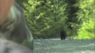 Jim Shockey  WILD bear hunt [upl. by Alber]