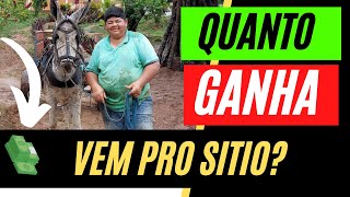 Veja Quanto Ganha o Canal VEM PRO SITIO Atualizado [upl. by Oramlub136]