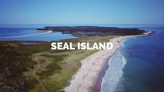 Exploring SEAL ISLAND  A Remote Paradise [upl. by Brigitte]