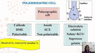 Polarographydrsuchetasinteractiveclas9804 [upl. by Kelila]
