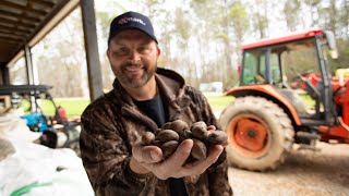 Pecan Farming 101 [upl. by Beret352]