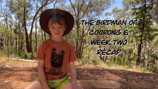 The Birdman of Coorong amp week two recap [upl. by Norraf]