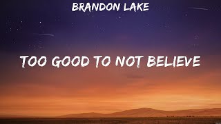 Too Good To Not Believe  Brandon Lake Lyrics  Hosanna Thank you Jesus for the Blood Echo [upl. by Doerrer268]