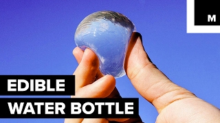 Scientists have created edible water [upl. by Allianora606]