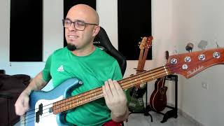 The Smiths  HAND IN GLOVE Bass Cover [upl. by Berey]