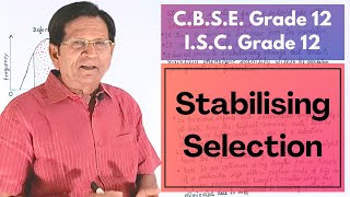 Stabilising Selection  Grade 12 Biology [upl. by Tut559]