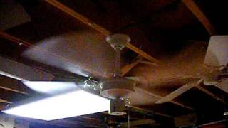 Evergo Ceiling Fan [upl. by Isadore845]