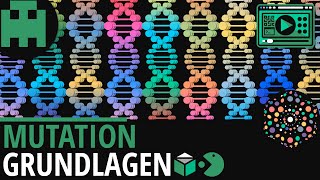 Mutation Grundlagen│Biologie Lernvideo Learning Level Up [upl. by Nnyleve270]