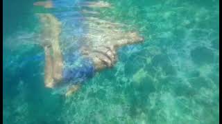 Snorkeling time at balicasag island resort [upl. by Uziel]