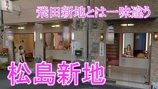 【松島新地】大阪市西区九条  matushimashinchi  歴史  散歩  散策  さんぽ [upl. by Llekram]