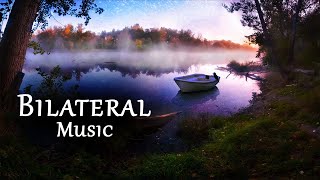 Relaxing Bilateral Stim Music  1 Hour for Anxiety Stress PTSD Sleep 🎧 A Drop in Time [upl. by Samled]