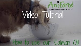 AniForte UK Tutorial Salmon Oil [upl. by Nehr]