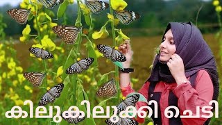 🦋പൂമ്പാറ്റകളെ ആകർഷിക്കുന്ന ചെടി  Crotalaria  Kilukilukki Chedi [upl. by Narba216]