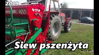 Siew pszenżyta☆Zetor 12045☆Agro masz sn300☆ [upl. by Eirahs]