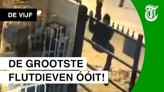 Betrapt Criminelen falen hopeloos  DE VIJF [upl. by Htebasile96]