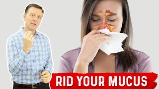 How to Get Rid of Mucus – Sinus Remedies by Dr Berg [upl. by Straus]