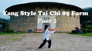 Yang Style Tai Chi 85 Form Part 1（Step 1  14）杨氏85式太极拳 [upl. by Gaston]